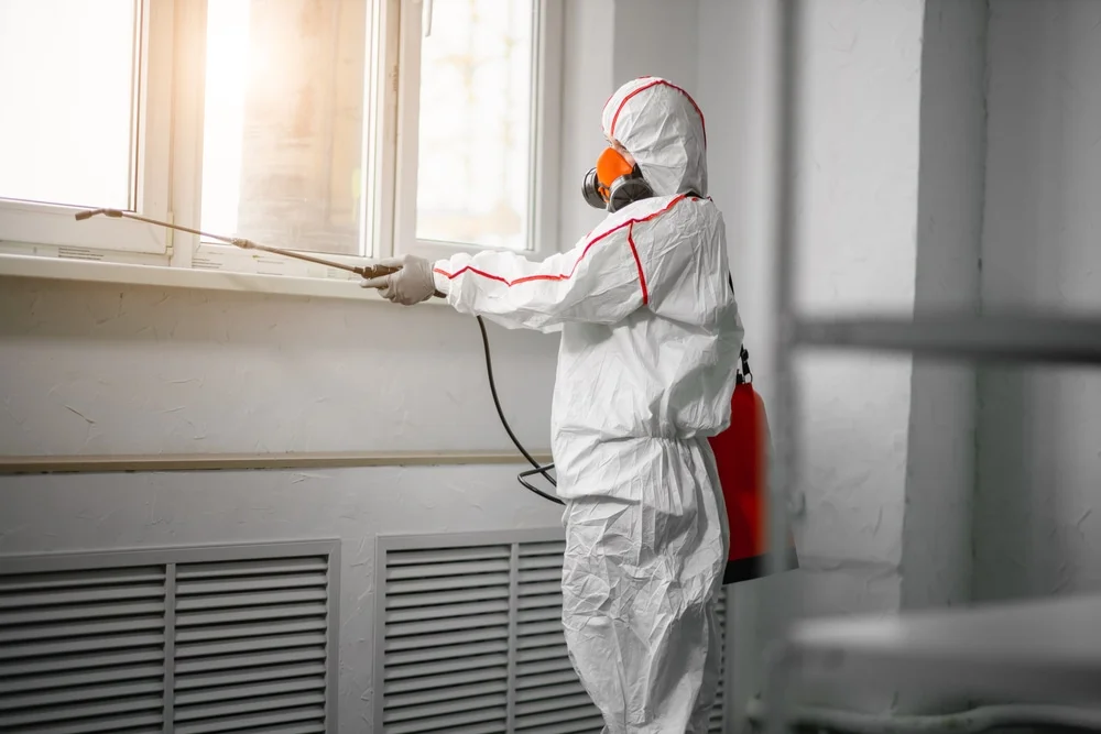 Professional mold remediation services in Missouri City, TX